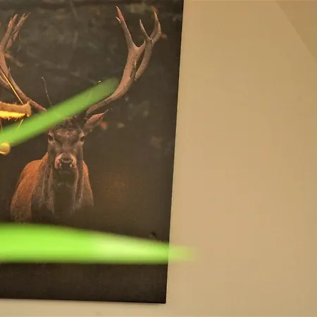 Apartamento Galerie-wohnung I Europapark I Balkon I Boxspring I Nespresso I Parkplatz Kippenheim